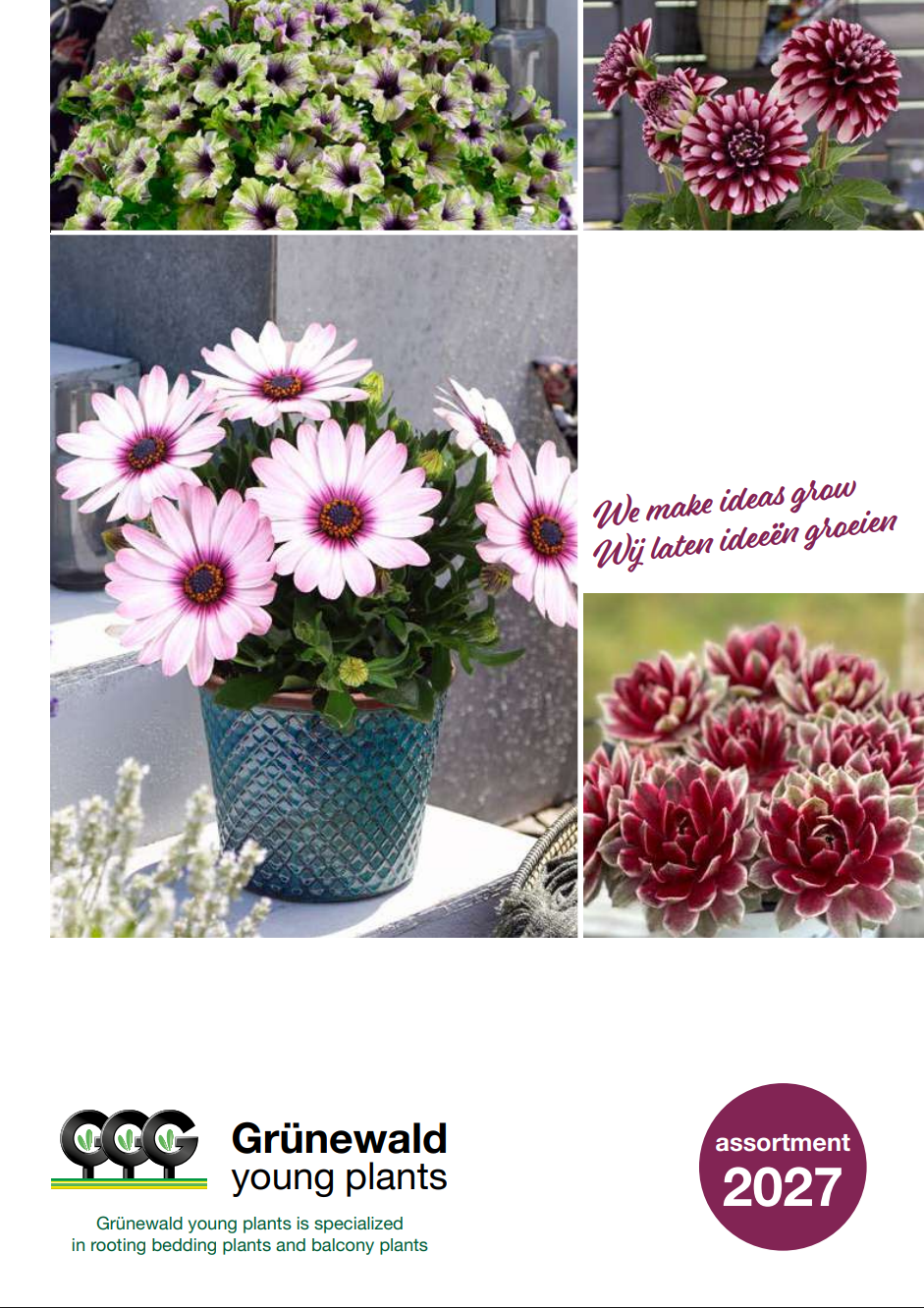 Jonge Planten Grünewald katalog 2027