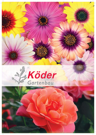 Köder Gartenbau katalog 2026