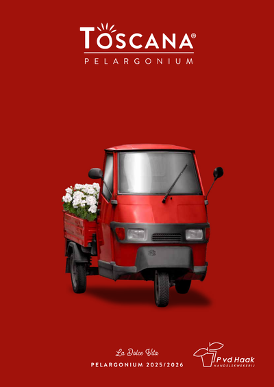Pelargonium katalog 2025–2026
